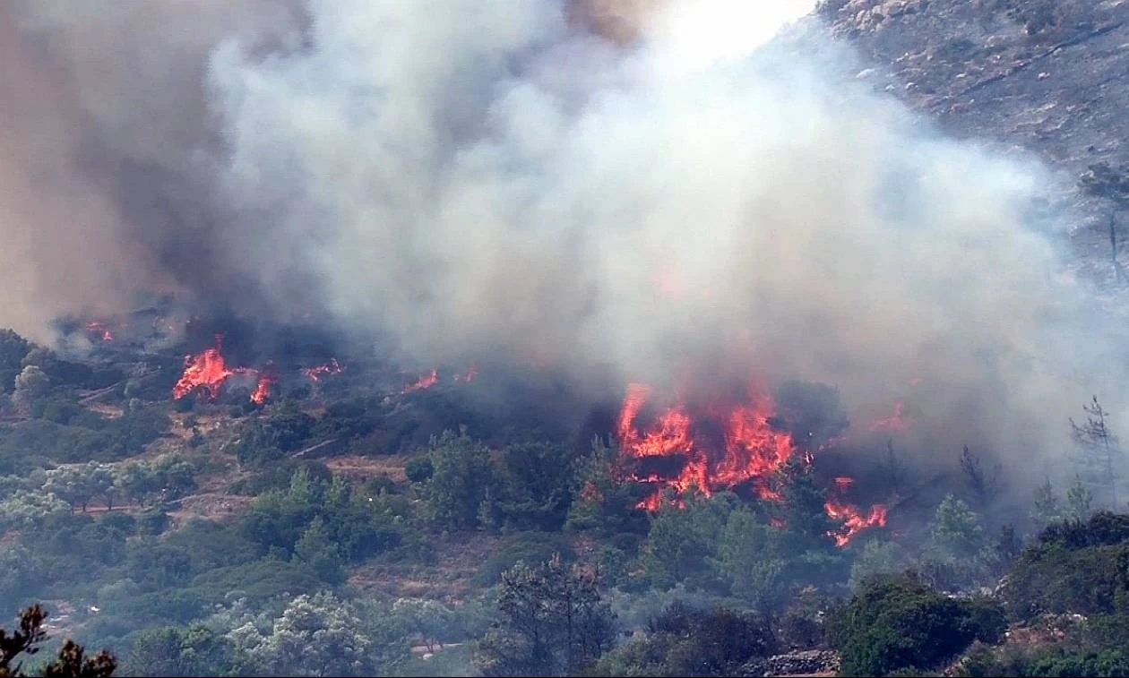 Φωτιά στη Χίο -Την έβαλαν αλλοδαποί που βγήκαν με βάρκα στη στεριά, για να τους εντοπίσουν